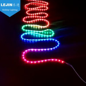 <b>trend 2019 color changing led rope light and holiday light</b>